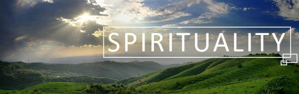 The Case for Spirituality